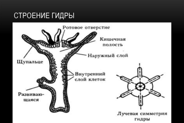 Kraken market зеркала