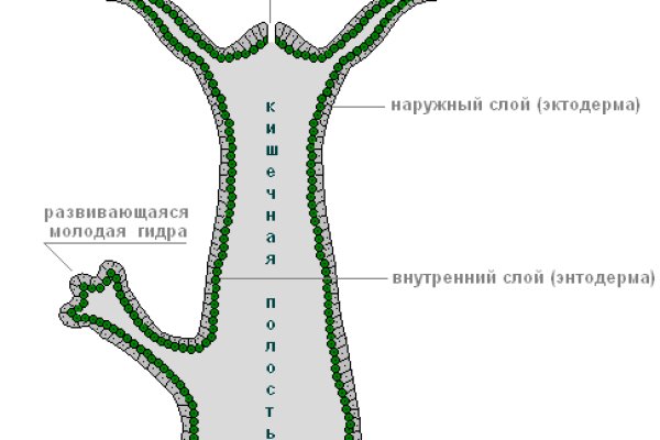 Кракен маркетплейс официальный сайт